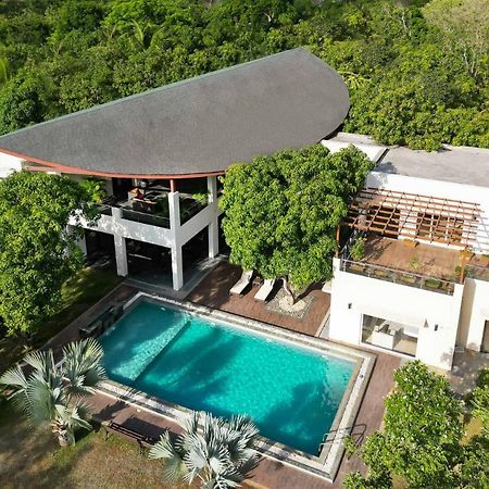 The Leaf By Stayvista - An Enchanting Escape Offering A Pool, Terrace, Lush Lawn, Contemporary Interiors, And Indoor Games Alībāg Εξωτερικό φωτογραφία
