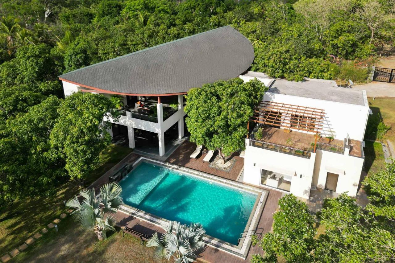 The Leaf By Stayvista - An Enchanting Escape Offering A Pool, Terrace, Lush Lawn, Contemporary Interiors, And Indoor Games Alībāg Εξωτερικό φωτογραφία